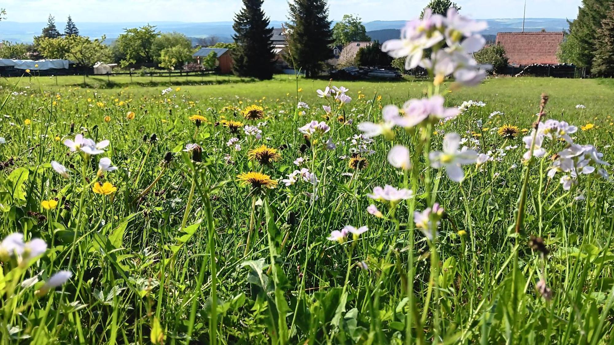 Saalfeld - Sommerfrische Burkersdorf